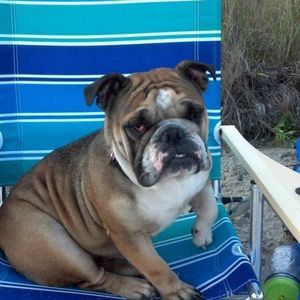 Meet your Posher, Jason